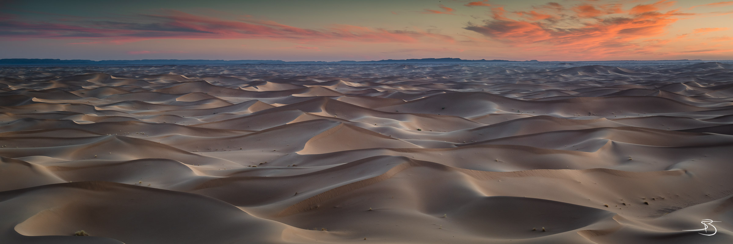 Immensités Sauvages