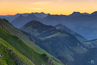 Stage 2014