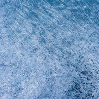 Cristaux de glace dans des petites gouilles de fonte